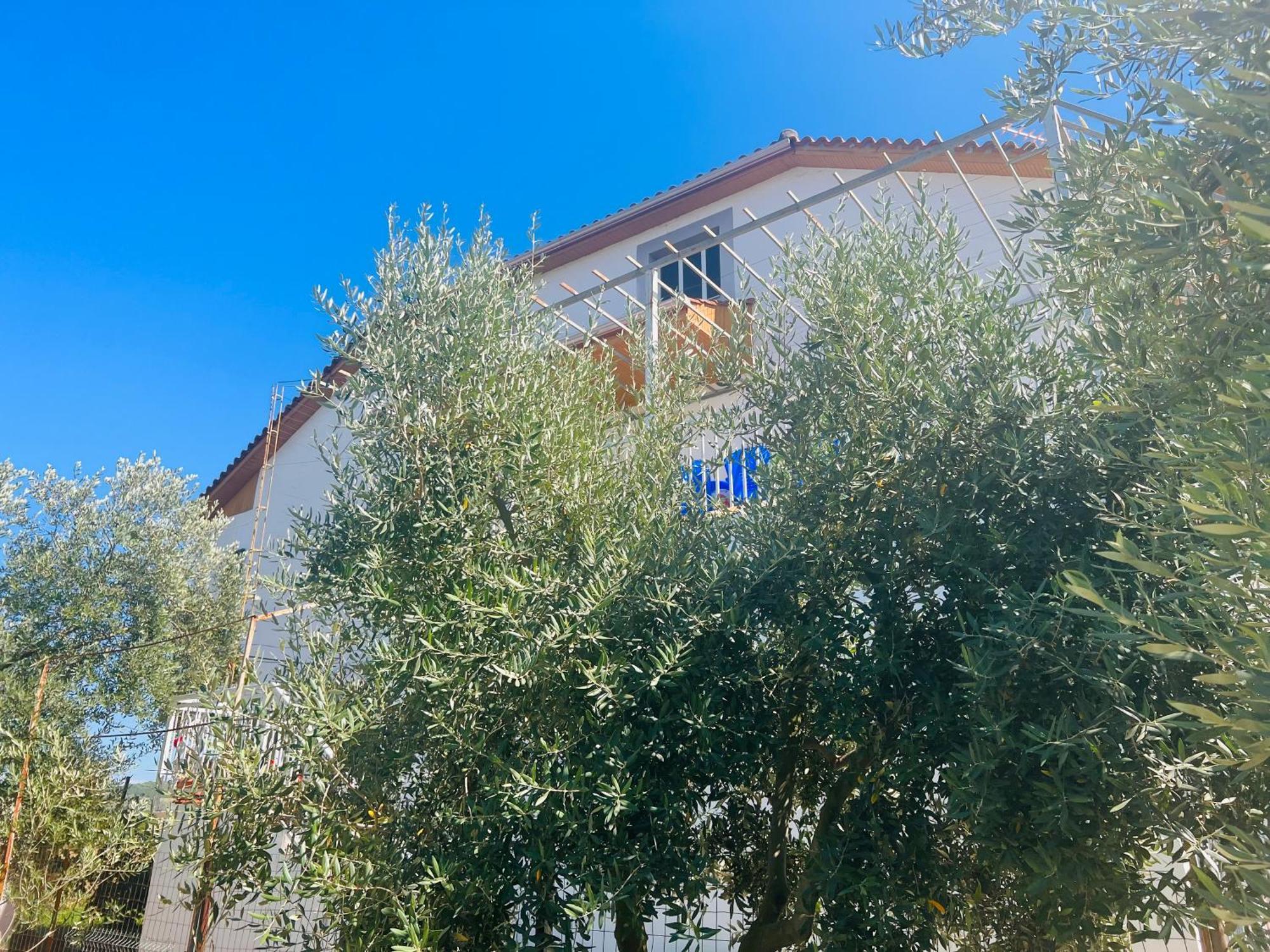Fori Vodo Divjake Exterior foto